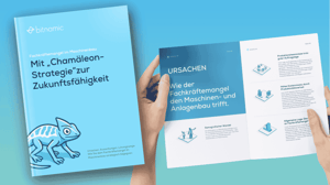 Bitnamic_Whitepaper_Mit Chamaeleon-Strategie zur Zukunftsfaehigkeit