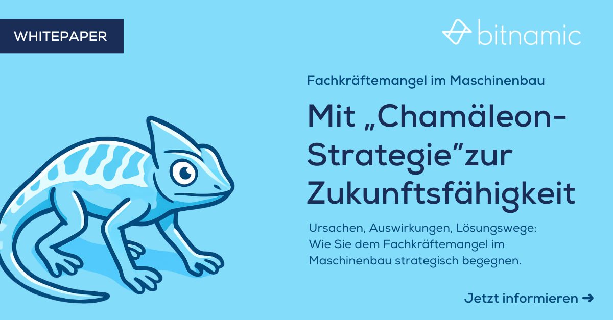 Mit Chamaeleon-Strategie zur Zukunftsfaehigkeit Bitnamic Whitepaper_1
