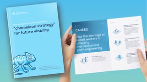 EN_Bitnamic_Whitepaper_chameleon-strategy-for-future-viability-1