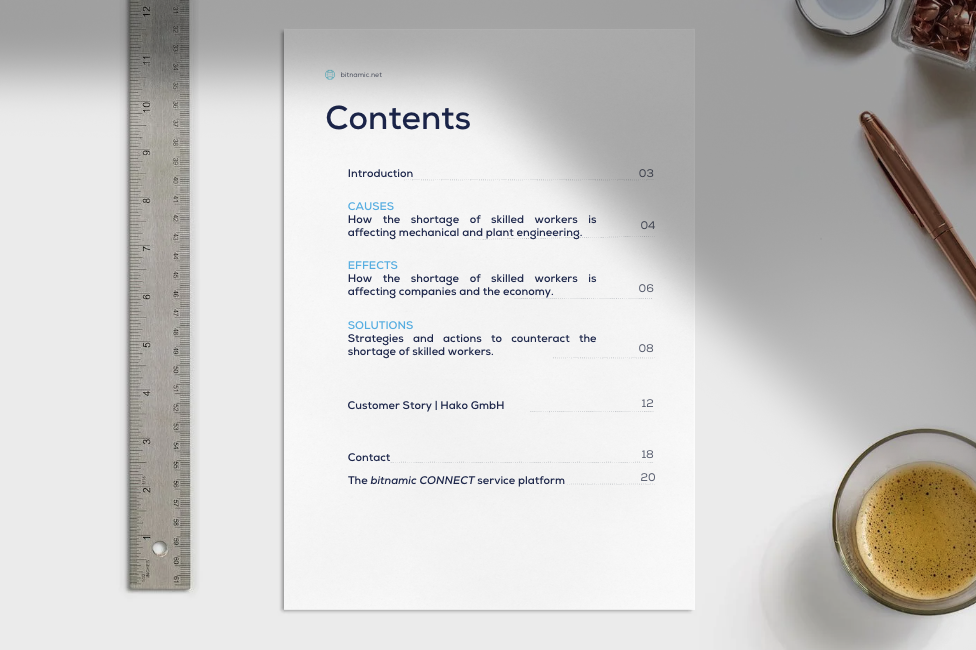 bitnamic white paper skills shortage 