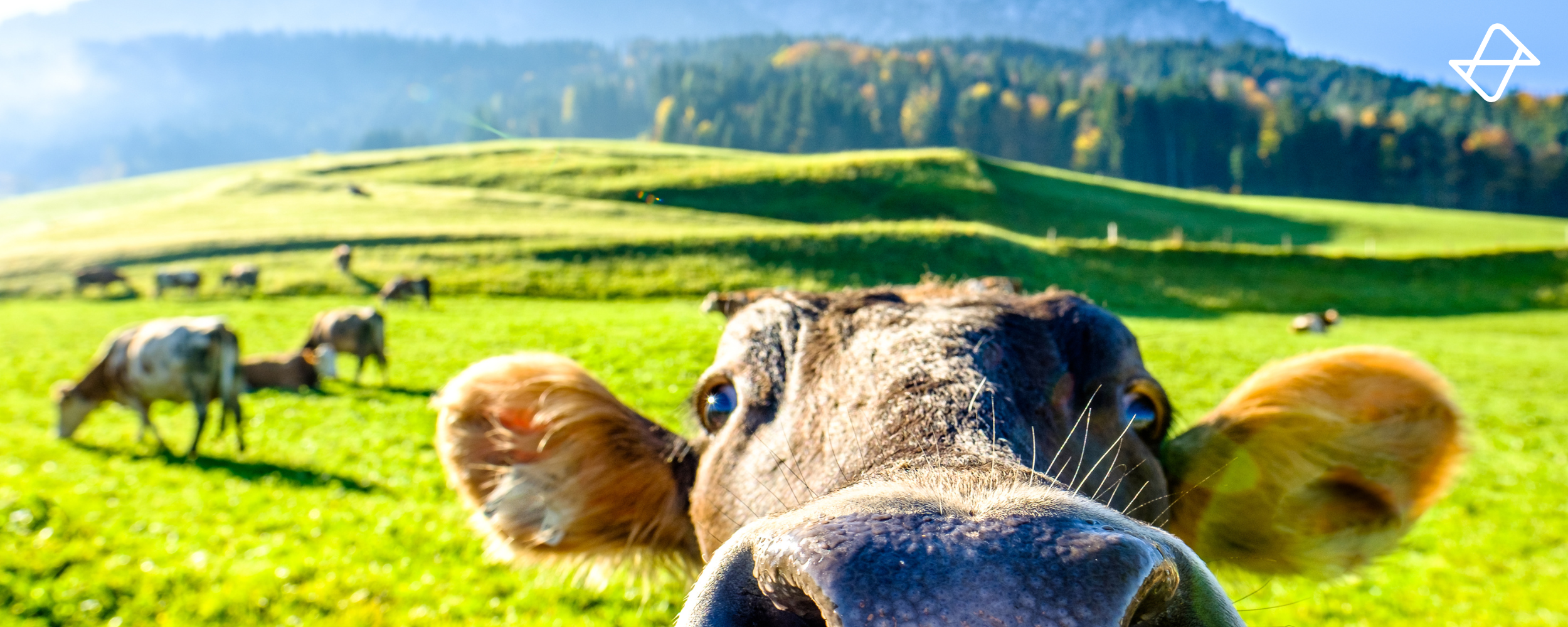 FARMHACK > A very special hackathon