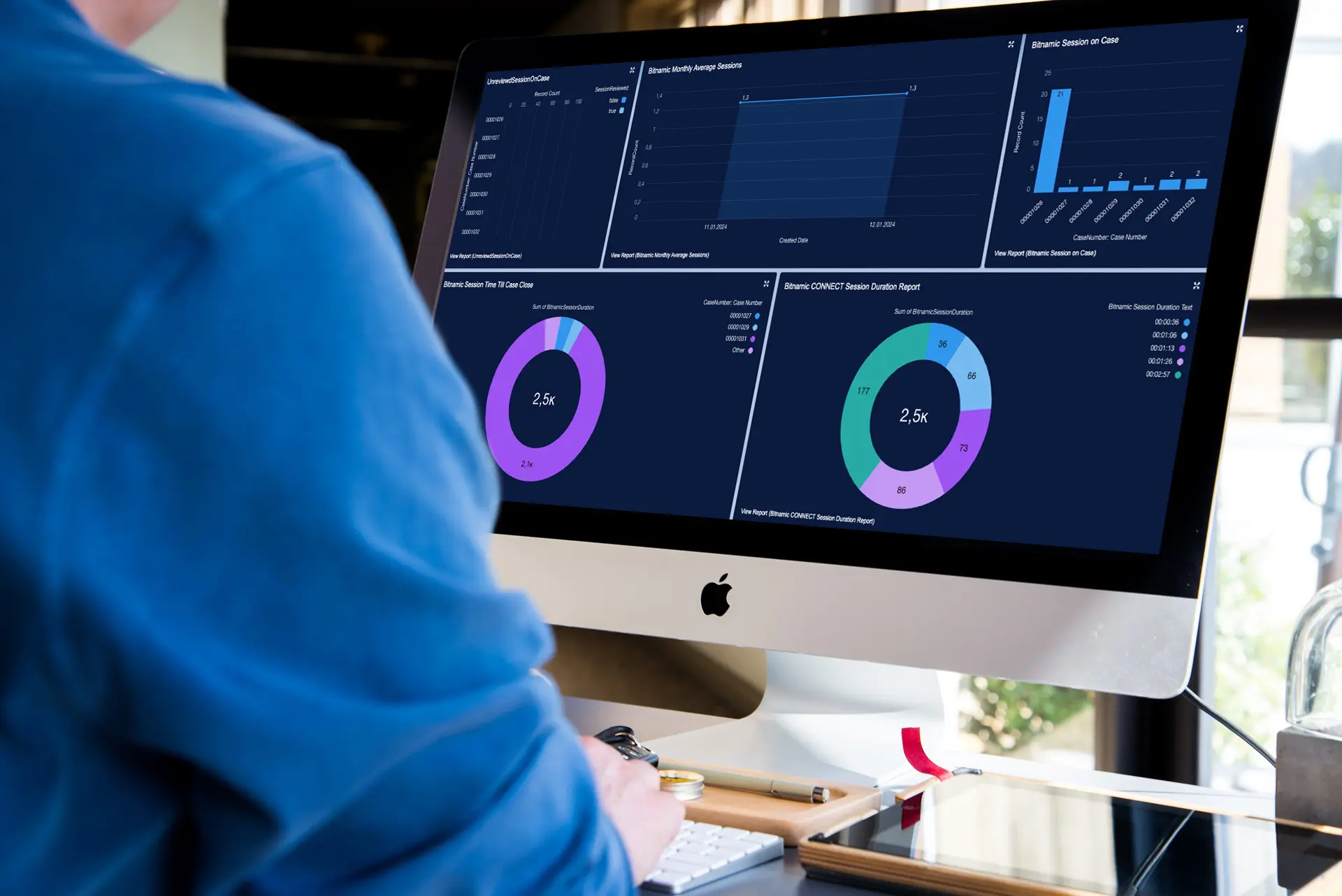 bitnamic_CONNECT_Remote_Maintenance_Salesforce_Reportings